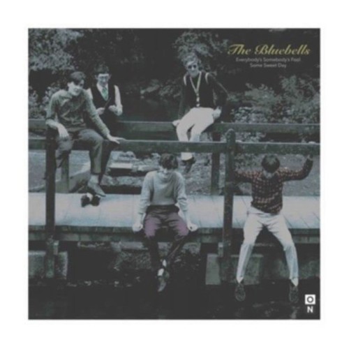 Bluebells - Everybody's Somebody's Fool (Ltd Blue Vinyl With Poster & Postcard)