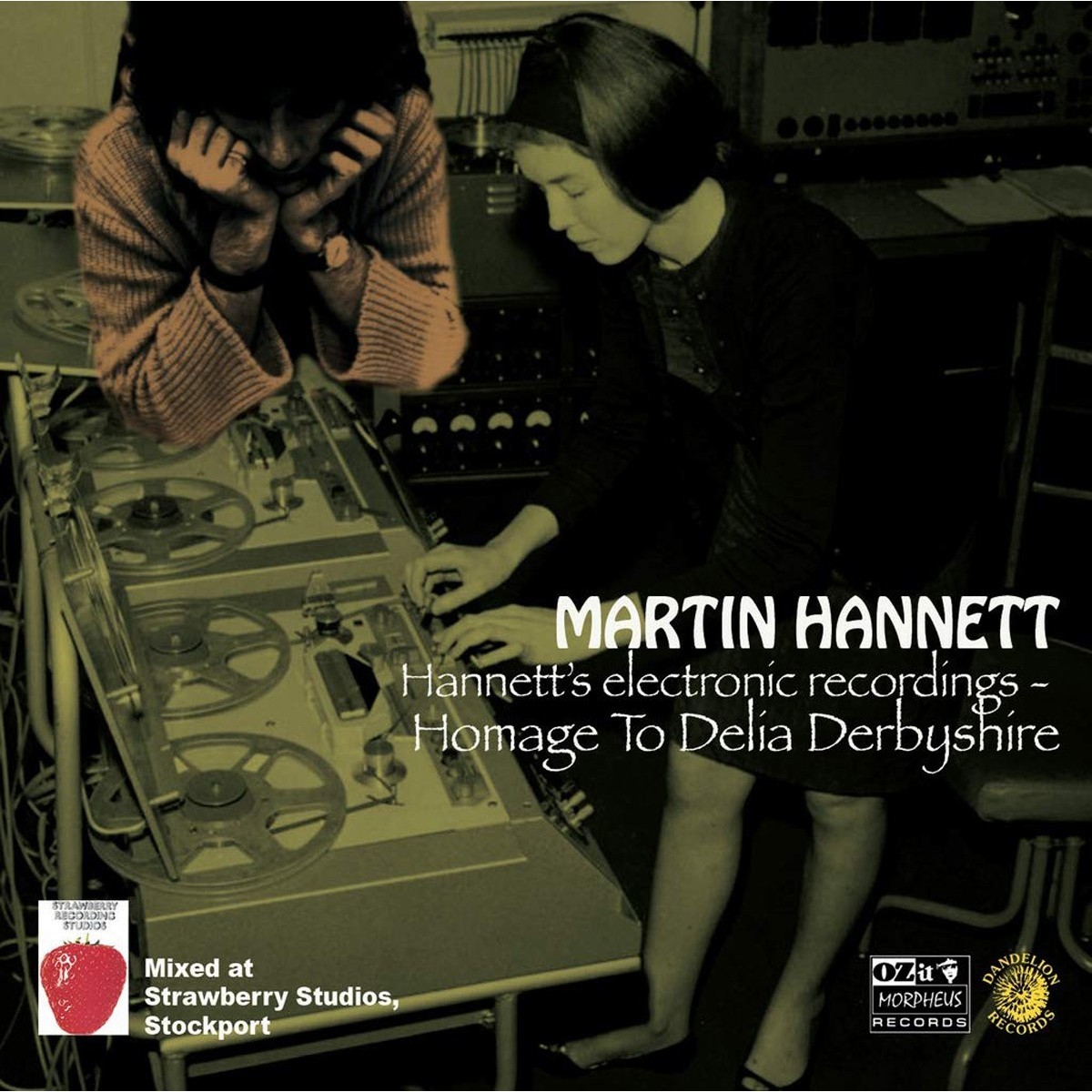 Martin Hannett - Hannett's Electronic Recordings - Homage To Delia Derbyshire
