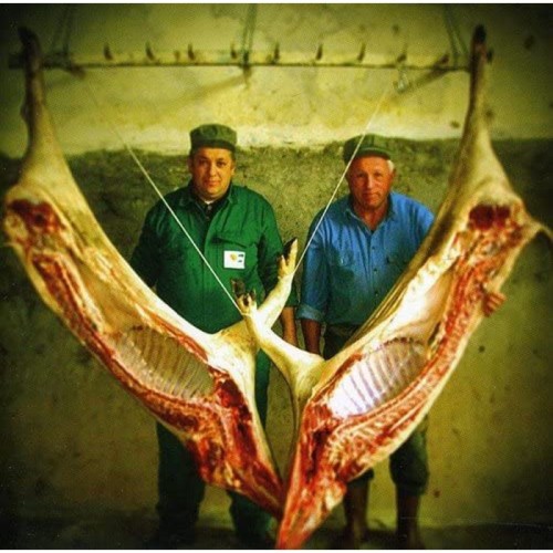 Mr. Rencore & Tim Berne - Intollerant