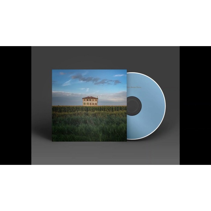 Fabio Orsi - Reverse Diverse