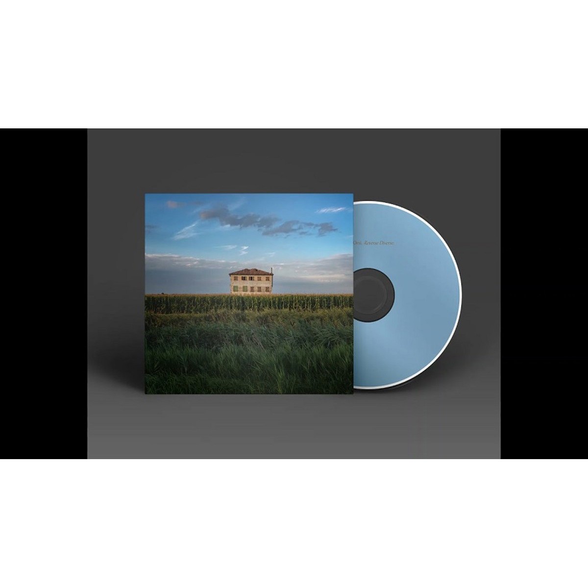 Fabio Orsi - Reverse Diverse