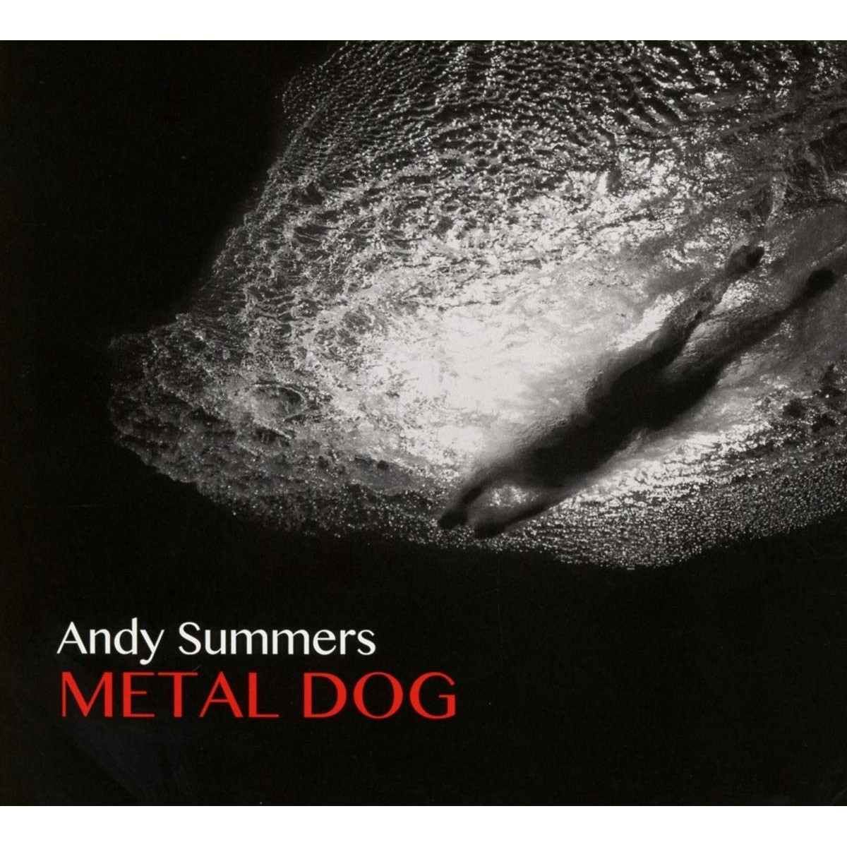 Andy Summers - Metal Dog