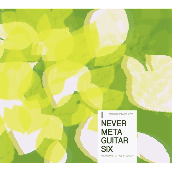 Elliott Sharp - I Never Metaguitar Six