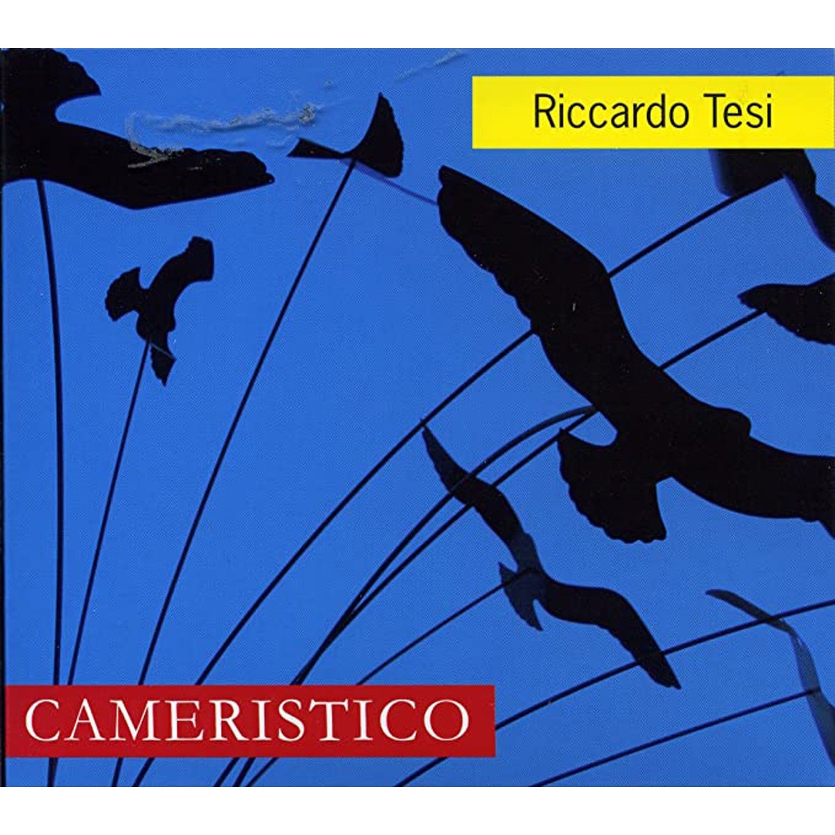 Riccardo Tesi - Cameristico