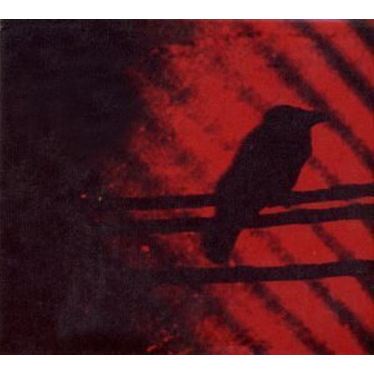 Silver Mt. Zion Memorial Orchestra - Born Into Trouble As The Sparks Fly Upward