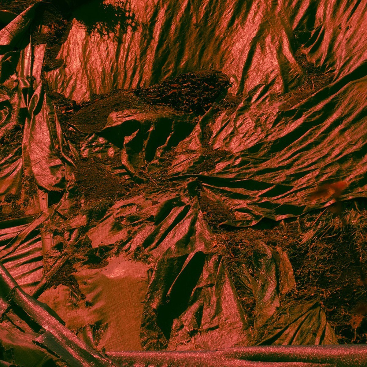 Tujiko Noriko - Crepuscule I & II