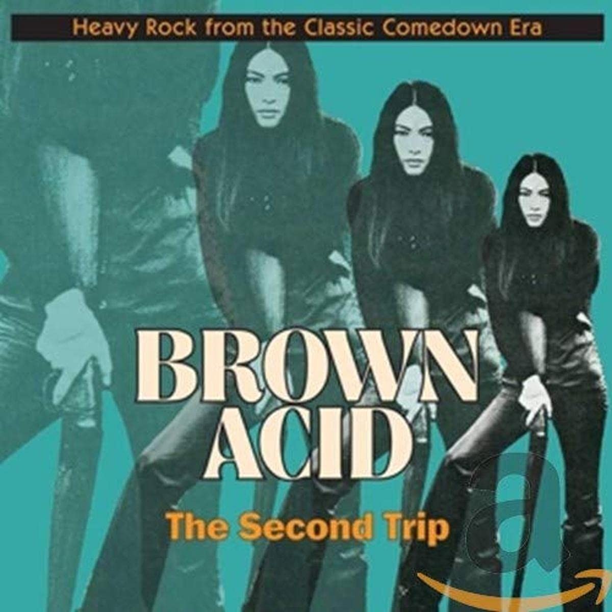 Various Artists - Brown Acid - The Second Trip