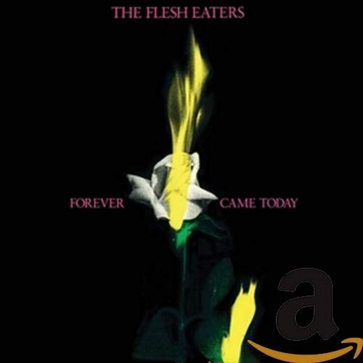 The Flesh Eaters - Forever Came Today