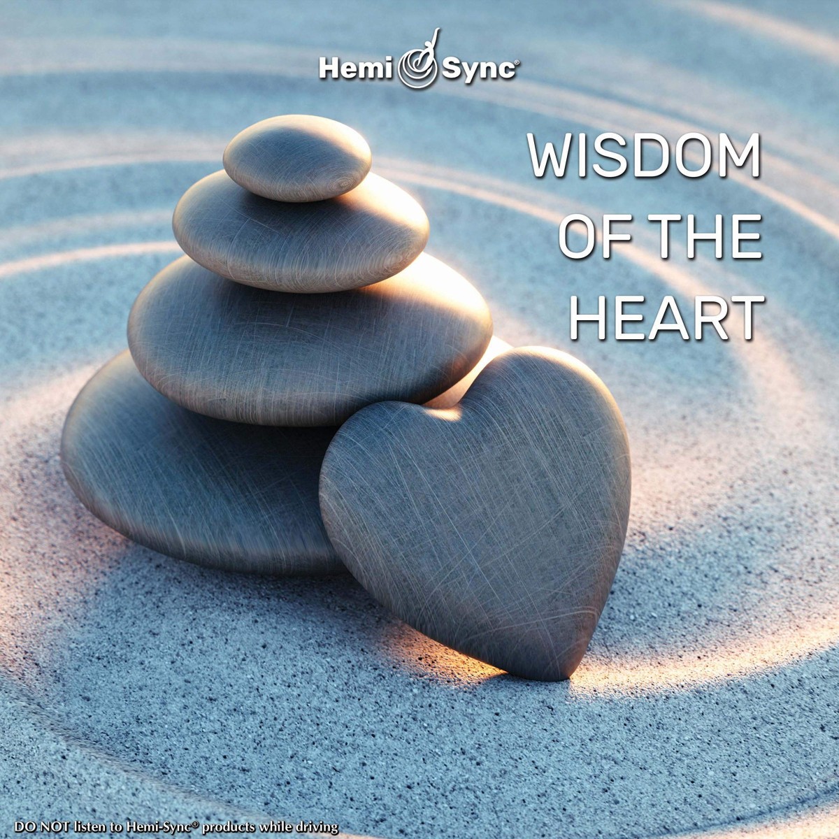 Barry Goldstein - Wisdom Of The Heart