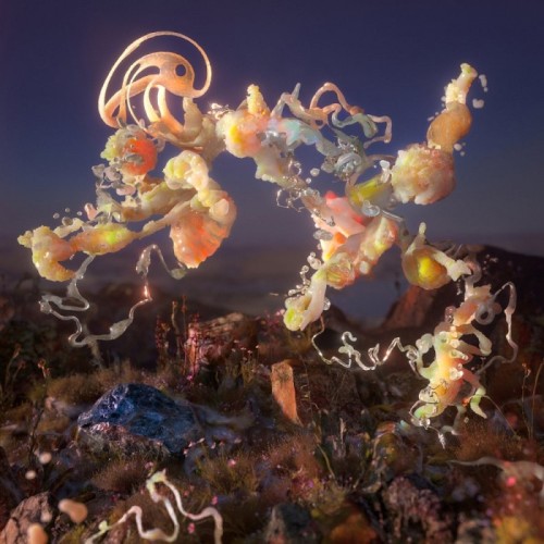 SØS Gunver Ryberg - Spine