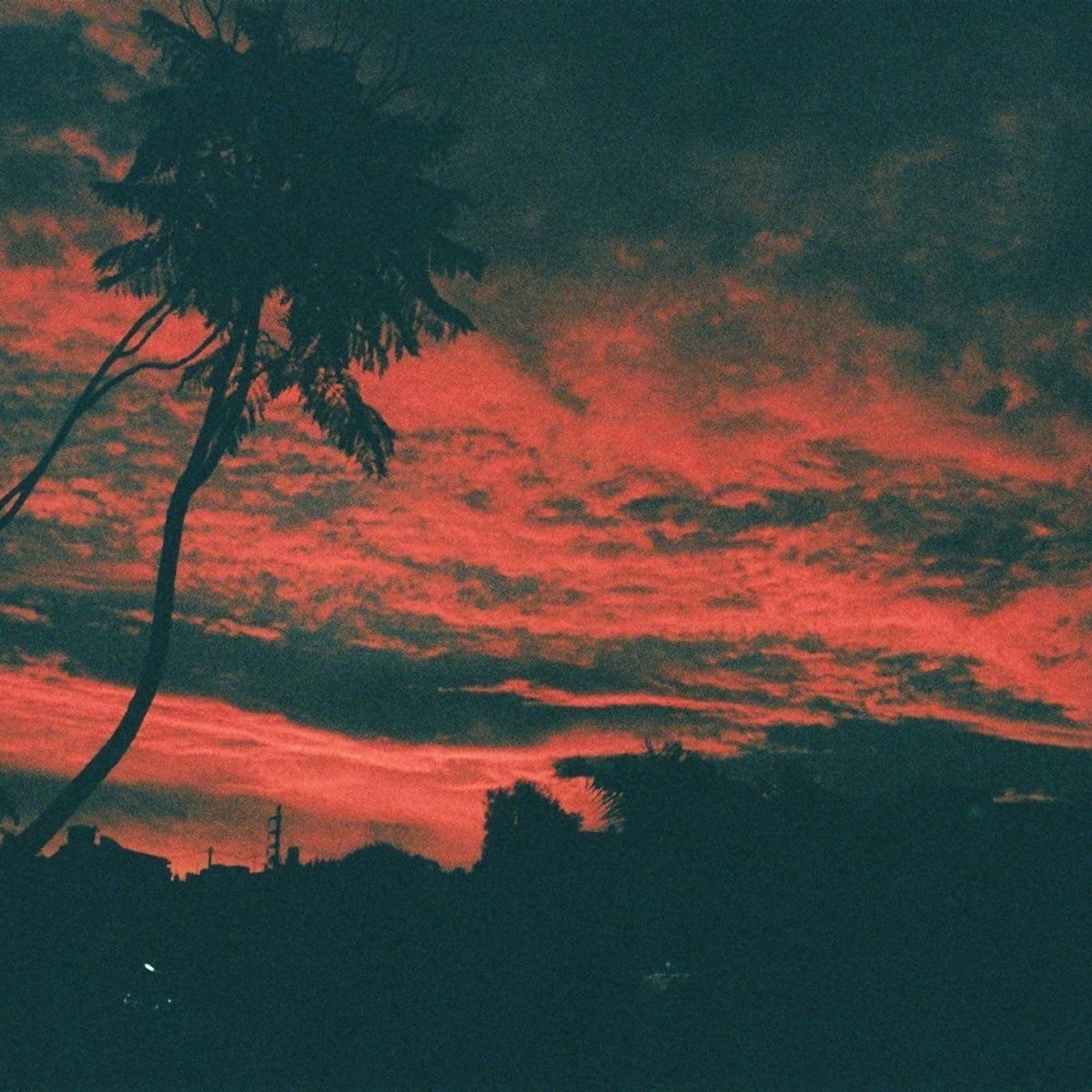 Malena Zavala - Aliso