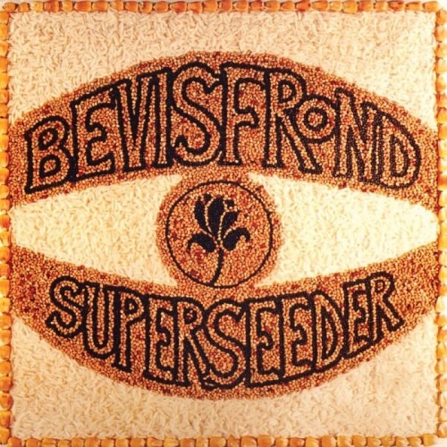 Bevis Frond - Superseeder