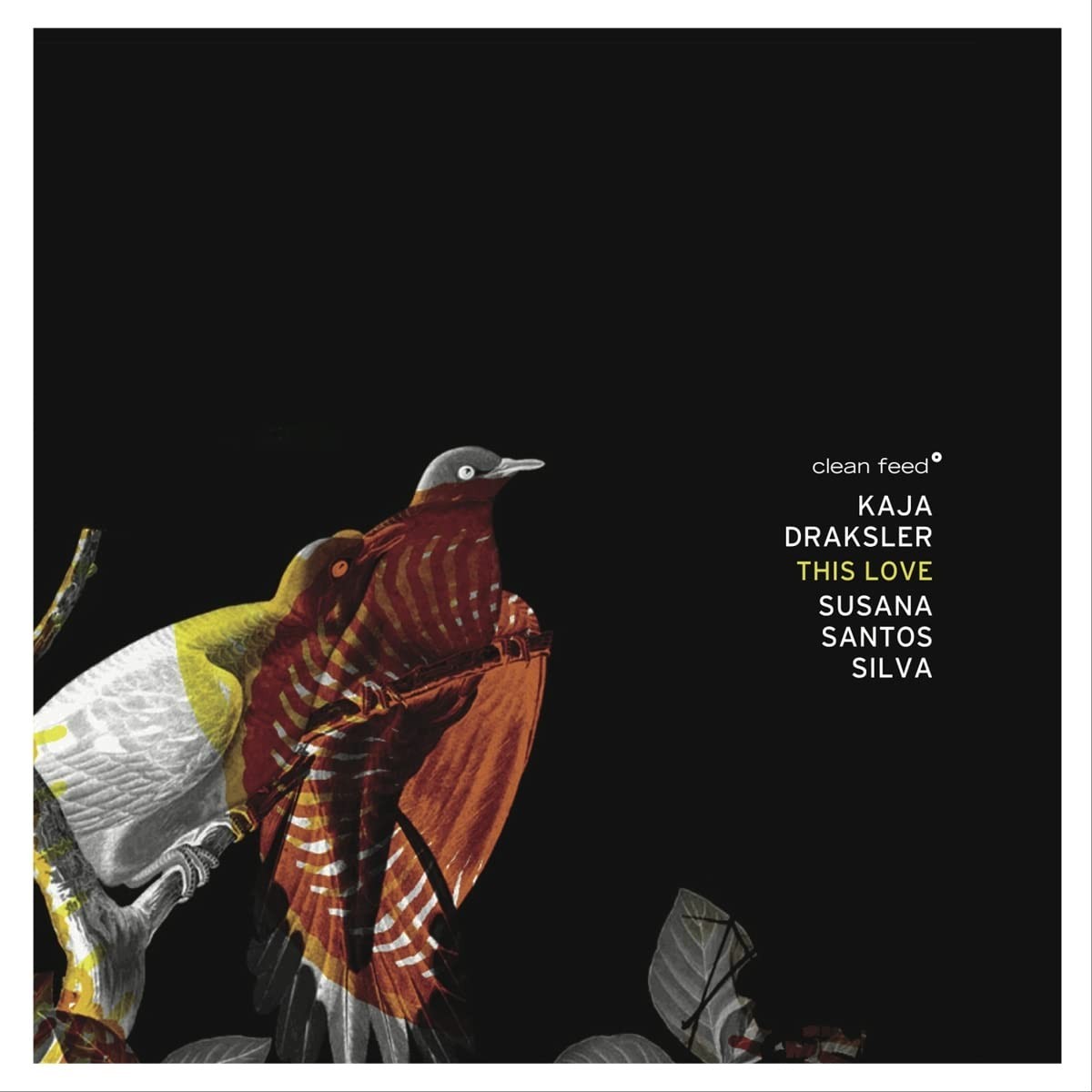 Susana Santos Silva & Kaja Draksler - This Love