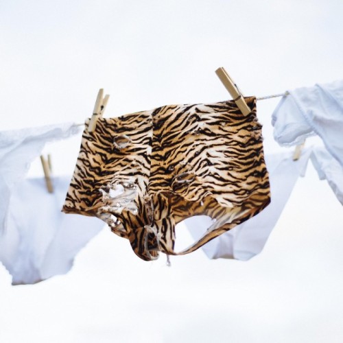 Los Bengala - Incluso Festivos