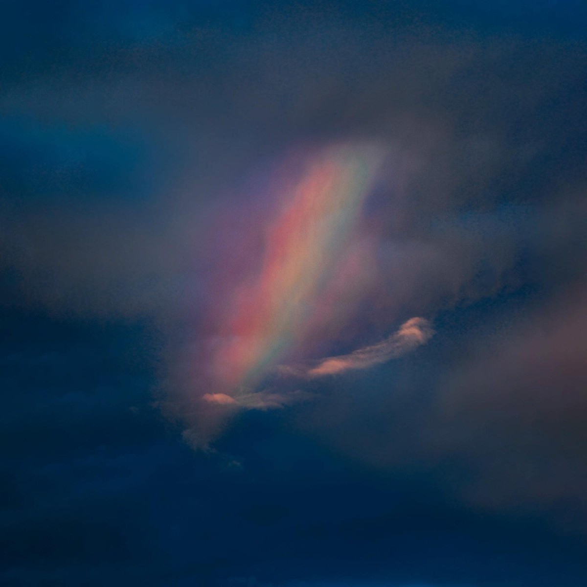 Pool Kids - Pool Kids (Green-Purple Splatter)