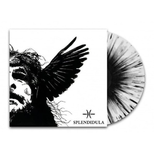 Splendidula - Somnus - 2022 Ed. (Clear With Black And Blue Splatter)