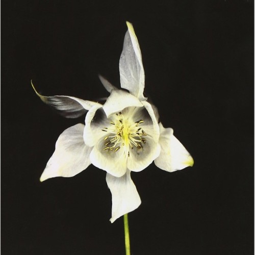 Fridge - Happiness (Anniversary Edition)