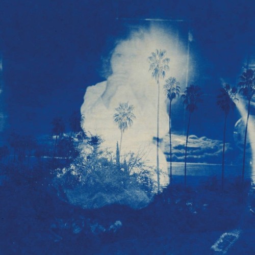 Fruit Bats - A River Running To Your Heart (Blue & Bone Swirl Vinyl)