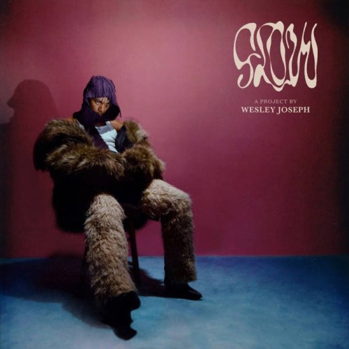 Wesley Joseph - Glow (Coke Bottle Clear Vinyl)