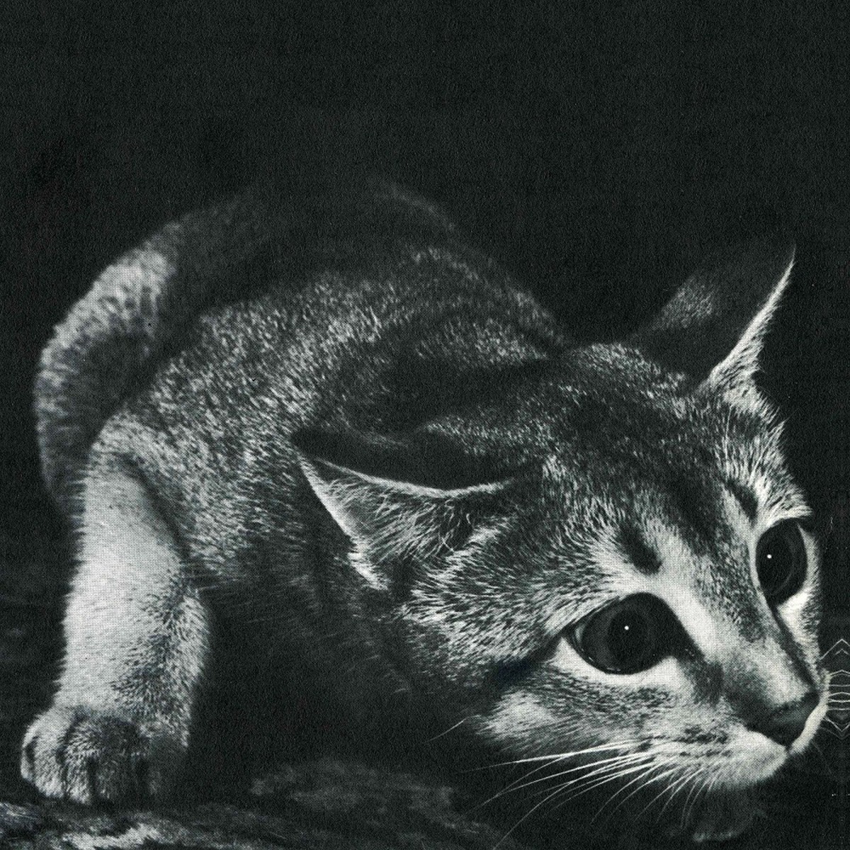 Cindy - Cindy (Re-Issue)