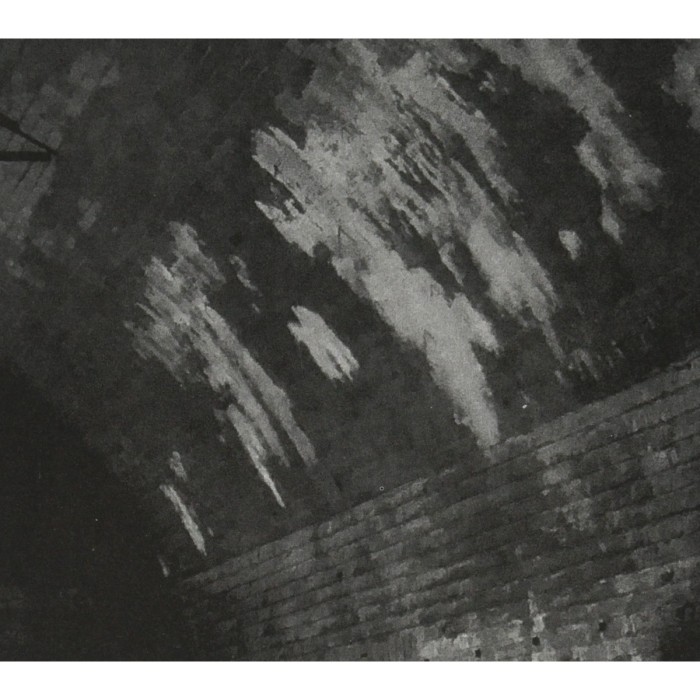 Svarte Greiner - Devolving Trust