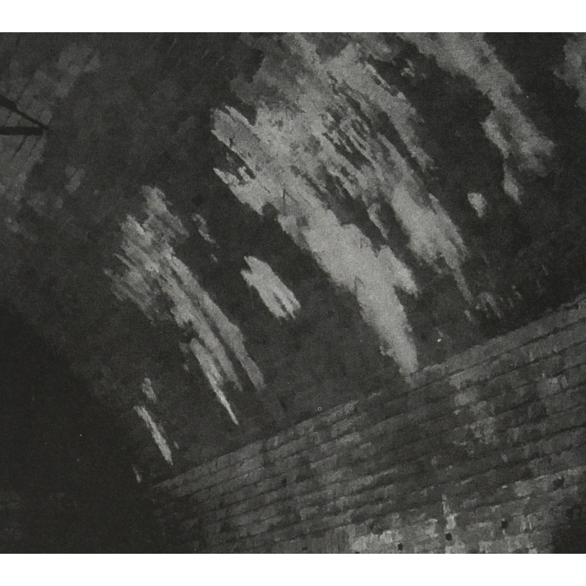 Svarte Greiner - Devolving Trust