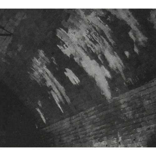 Svarte Greiner - Devolving Trust