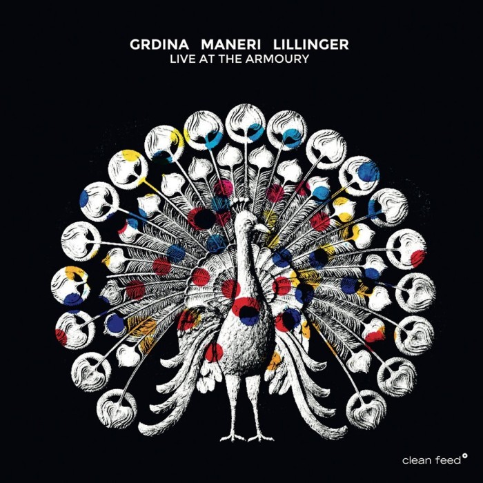 Gordon Grdina & Mat Maneri & Christian Lillinger - Live At The Armoury