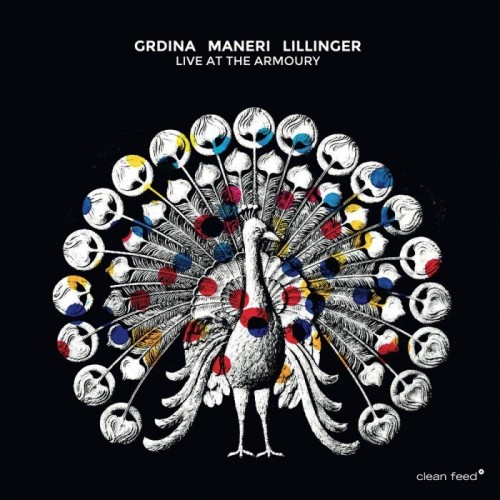 Gordon Grdina & Mat Maneri & Christian Lillinger - Live At The Armoury