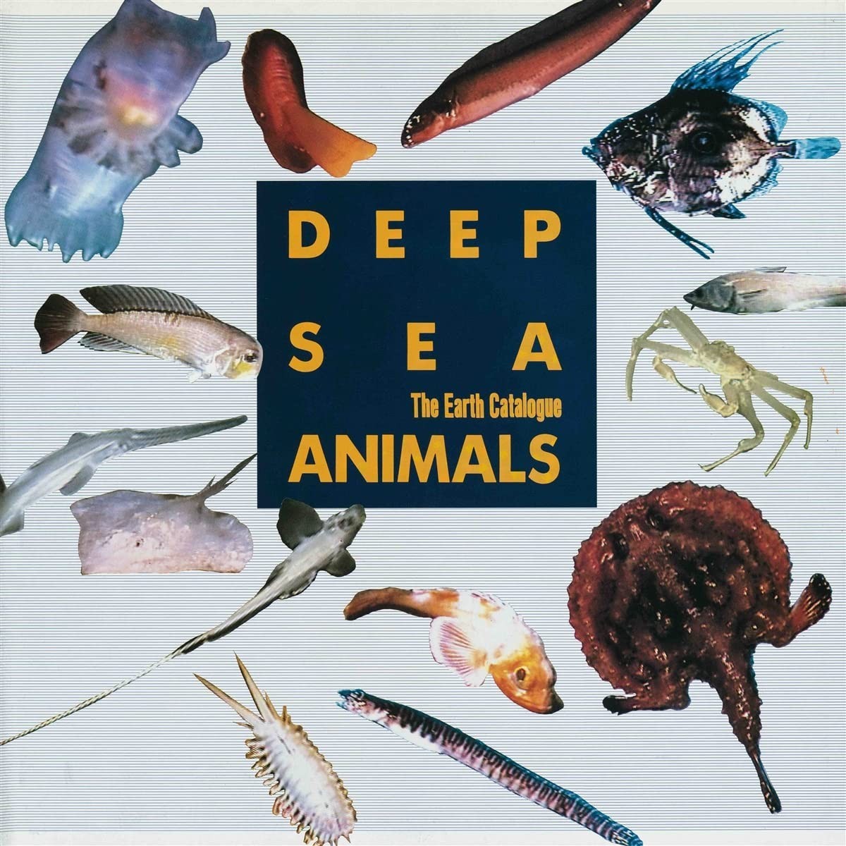 Various Artists - Deep Sea Creatures (Original Soundtrack)