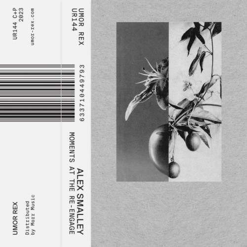 Alex Smalley - Moments At The Re-Engage