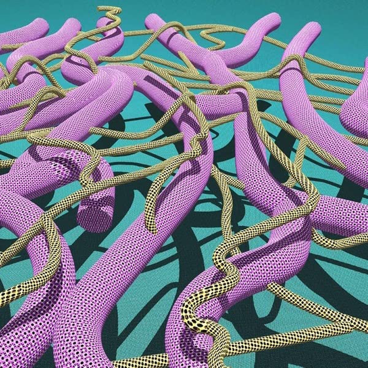 GAF y La Estrella De La Muerte - Pyramids