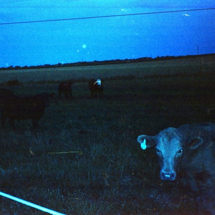 Waveform - Antarctica