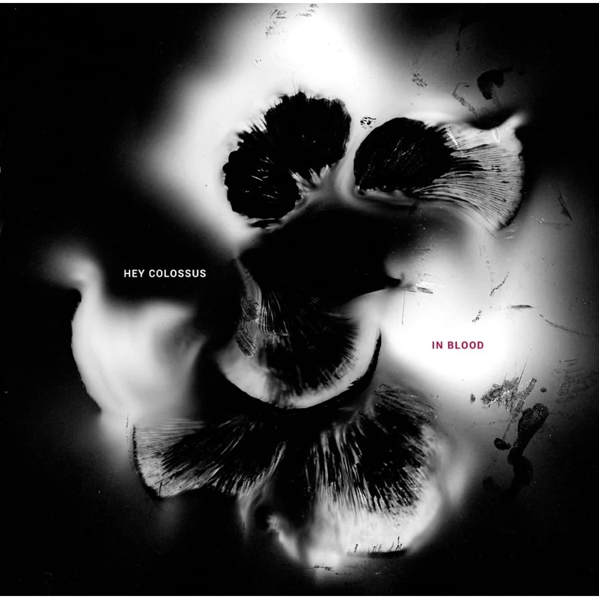 Hey Colossus - In Blood (Red Vinyl)