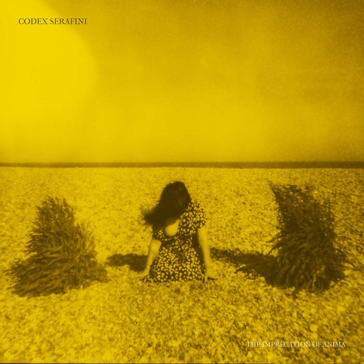 Codex Serafini - The Imprecation Of Anima