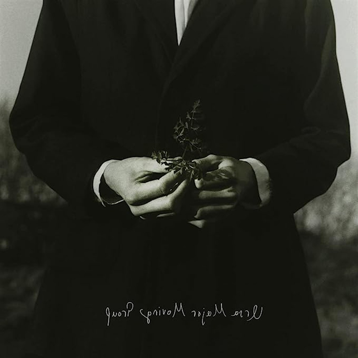 Ursa Major Moving Group - Ursa Major Moving Group