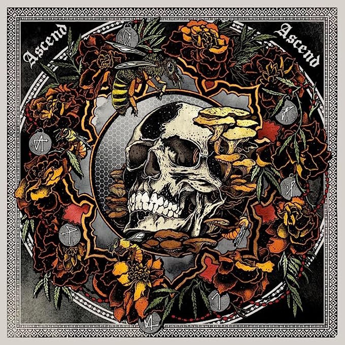 Janaka Stucky - Ascend Ascend: Live In Seattle With Lori Goldston