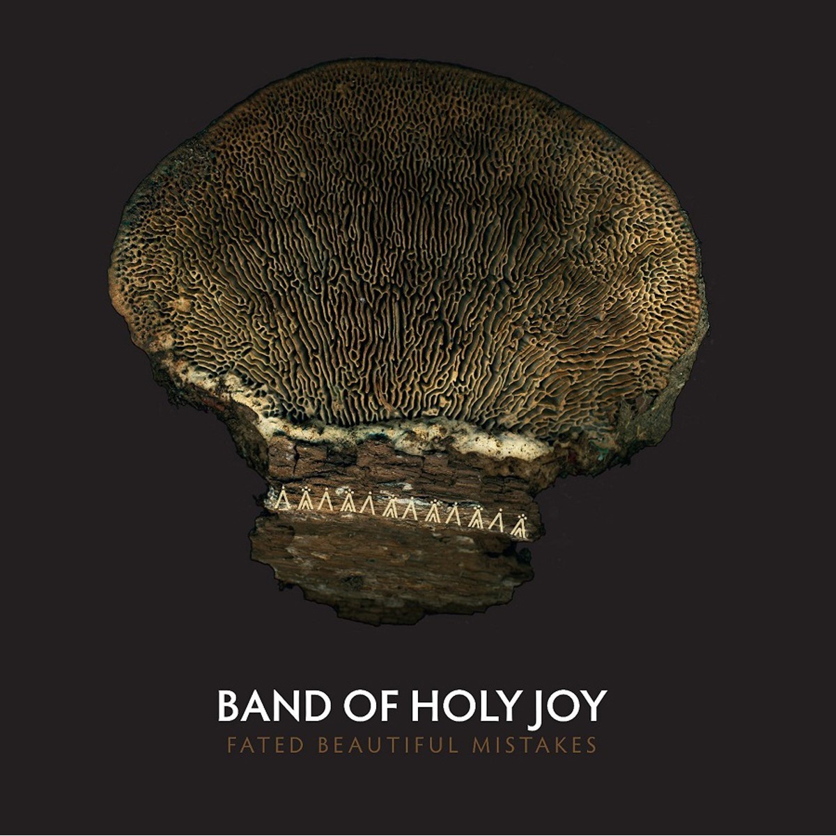 Band Of Holy Joy - Fated Beautiful Mistakes