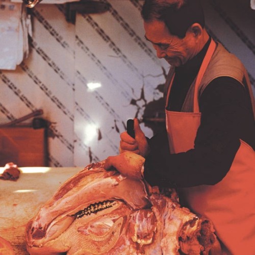 Minhwi Lee - Borrowed Tongues