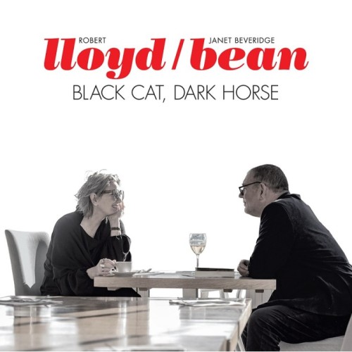 Robert Lloyd & Janet Bean - Black Cat, Dark Horse