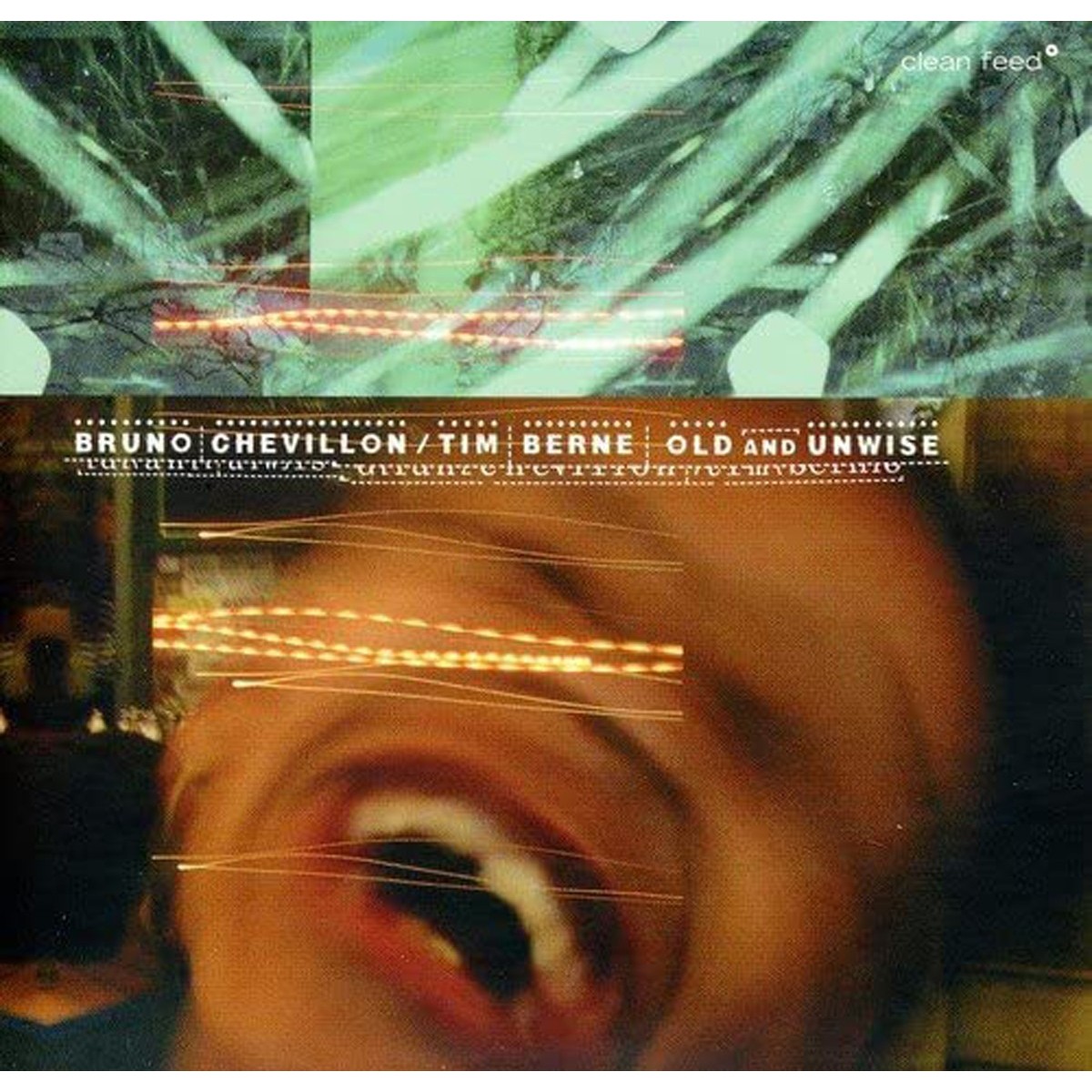 Bruno Chevillon & Tim Berne - Old And Unwise
