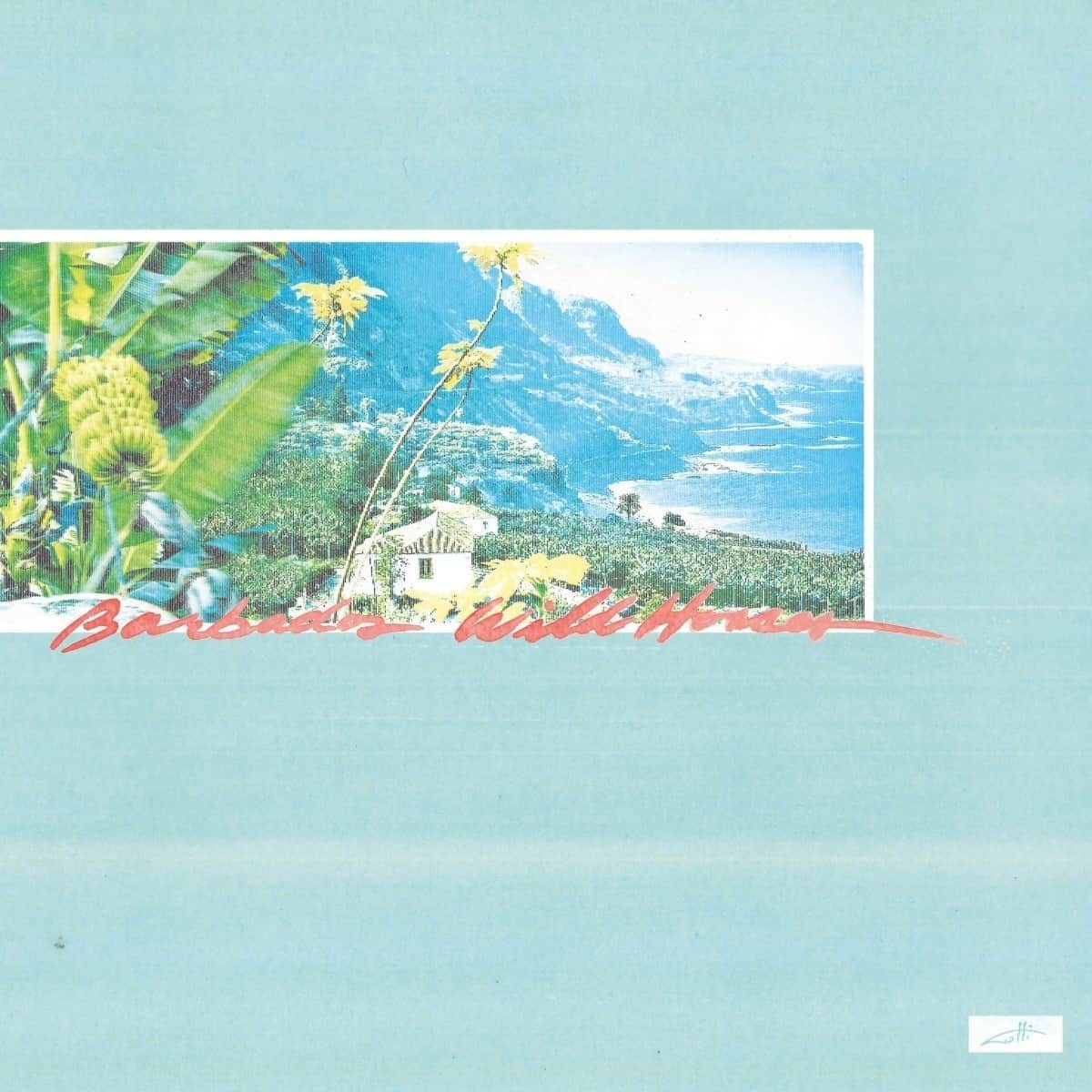 Monopoly Child Star Searchers - Barbados Wild Horses