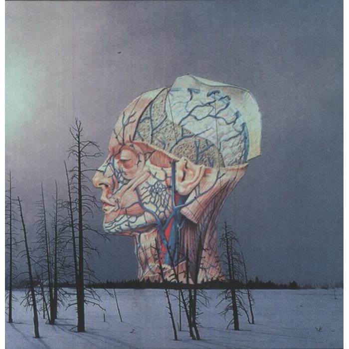 Low - Songs For A Dead Pilot