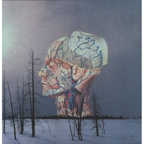 Low - Songs For A Dead Pilot