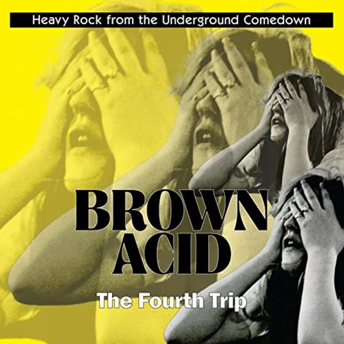 Various Artists - Brown Acid - The Fourth Trip