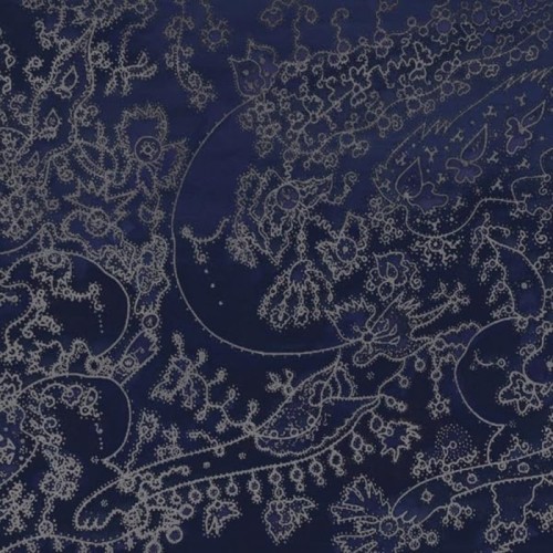 Svitlana Nianio - Lisova Kolekciya