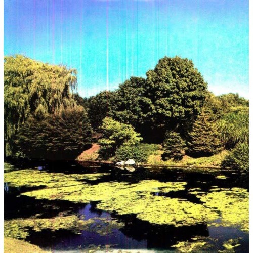 Shellac - Terraform