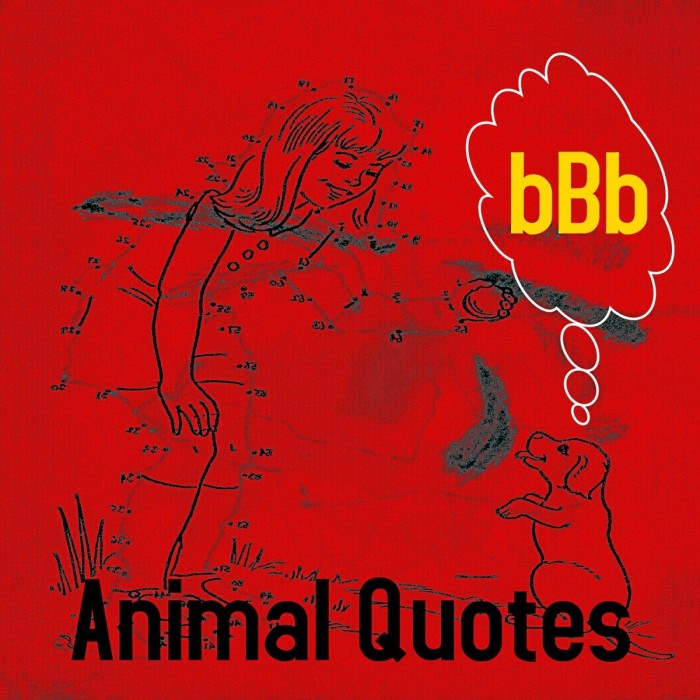 BBB - Animal Quotes