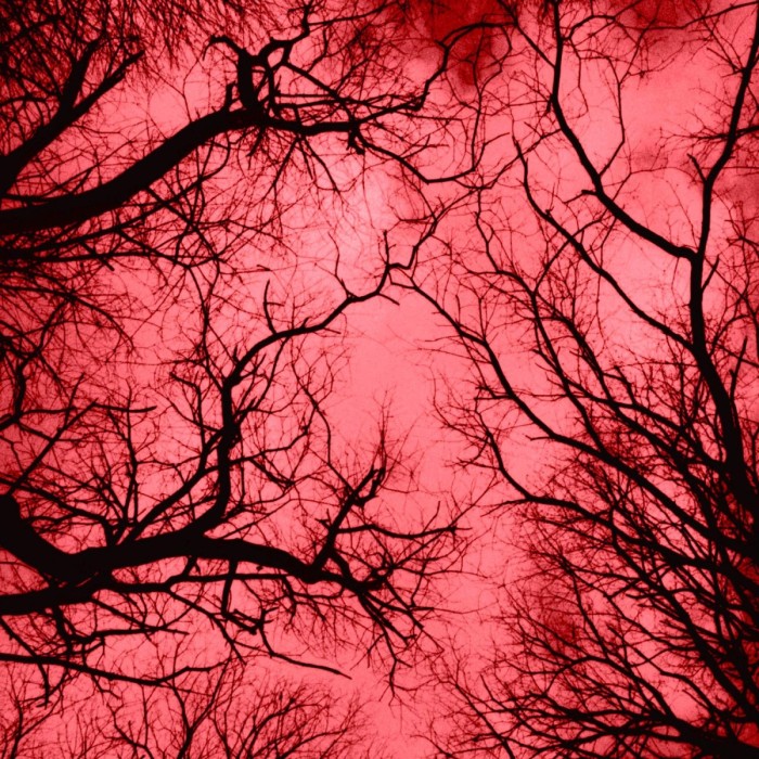 Colonna, Marraffa, Spera, Zanotti - Red Planet