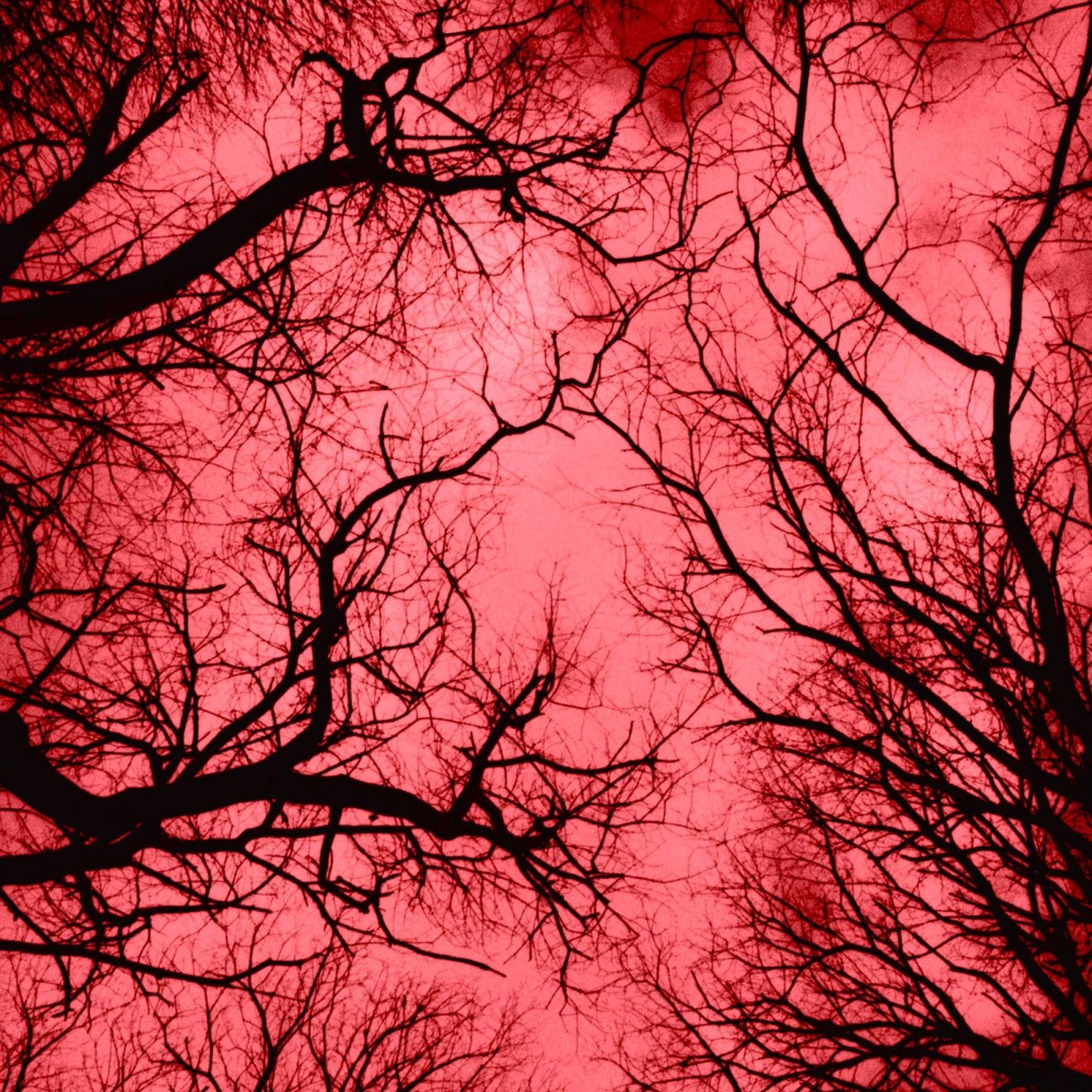 Colonna, Marraffa, Spera, Zanotti - Red Planet